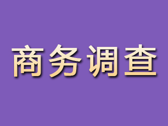 海勃湾商务调查